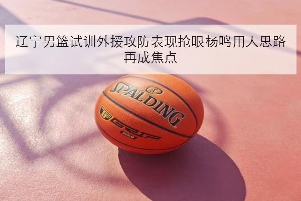 辽宁男篮试训外援攻防表现抢眼杨鸣用人思路再成焦点