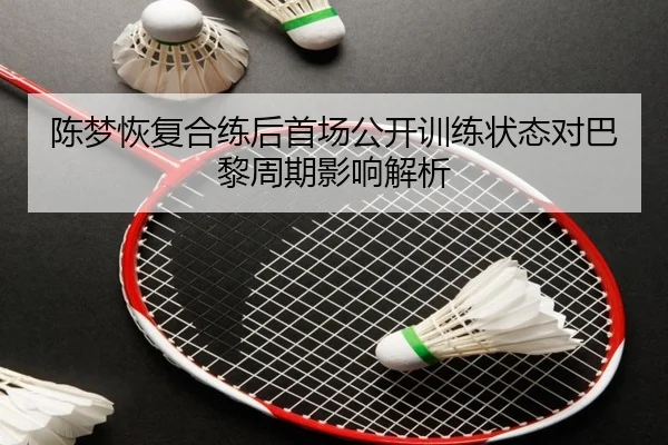 陈梦恢复合练后首场公开训练状态对巴黎周期影响解析